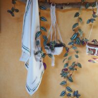 canovaccio in canapa
